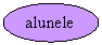 Oval: alunele