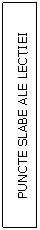Text Box: PUNCTE SLABE ALE LECTIEI