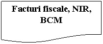 Flowchart: Document: Facturi fiscale, NIR, BCM