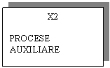 Text Box: X2

PROCESE AUXILIARE

