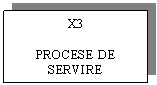 Text Box: X3

PROCESE DE SERVIRE
