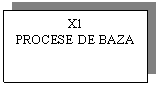 Text Box: X1
PROCESE DE BAZA
