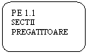 Rounded Rectangle: PE 1.1
SECTII
PREGATITOARE
