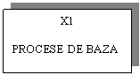 Text Box: X1

PROCESE DE BAZA
