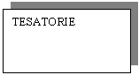 Text Box: TESATORIE