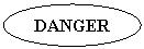 Oval: DANGER