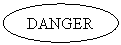 Oval: DANGER