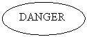 Oval: DANGER
