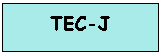 Text Box: TEC-J