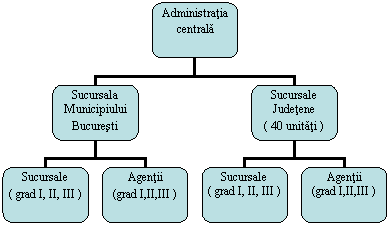 Organization Chart