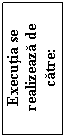Text Box: Executia se realizeaza de catre:

