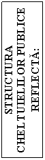 Text Box: STRUCTURA CHELTUIELILOR PUBLICE REFLECTA: