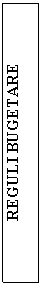 Text Box: REGULI BUGETARE

