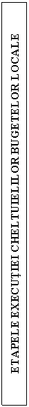 Text Box: ETAPELE EXECUTIEI CHELTUIELILOR BUGETELOR LOCALE

