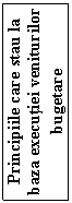 Text Box: Principiile care stau la baza executiei veniturilor bugetare