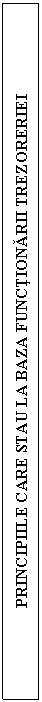 Text Box: PRINCIPIILE CARE STAU LA BAZA FUNCTIONARII TREZORERIEI