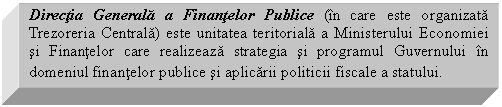 Text Box: Directia Generala a Finantelor Publice (in care este organizata Trezoreria Centrala) este unitatea teritoriala a Ministerului Economiei si Finantelor care realizeaza strategia si programul Guvernului in domeniul finantelor publice si aplicarii politicii fiscale a statului.