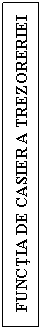 Text Box: FUNCTIA DE CASIER A TREZORERIEI

