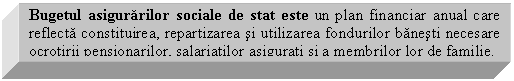 Text Box: Bugetul asigurarilor sociale de stat este un plan financiar anual care reflecta constituirea, repartizarea si utilizarea fondurilor banesti necesare ocrotirii pensionarilor, salariatilor asigurati si a membrilor lor de familie.

