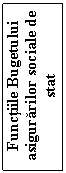 Text Box: Functiile Bugetului asigurarilor sociale de stat

