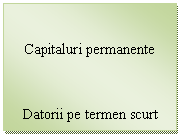 Text Box: Capitaluri permanente

Datorii pe termen scurt

