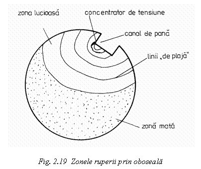 Text Box: 

Fig. 2.19 Zonele ruperii prin oboseala

