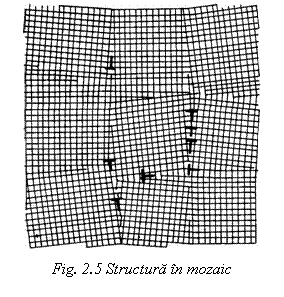 Text Box:  
Fig. 2.5 Structura in mozaic


