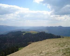 GURA DE RAI BUCEGI