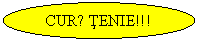 Oval: CURǍTENIE!!!