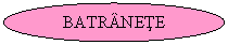 Oval: BATRANETE