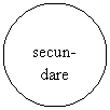 Oval: secun-
dare
