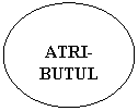 Oval: ATRI-
BUTUL
