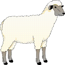 Artfavor Sheep Ewe Clipart