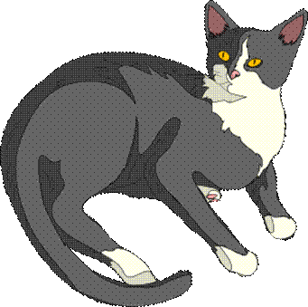 Gatto Cat Clipart