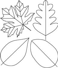 https://www.mayfieldews.com/images/leaftemplate.gif