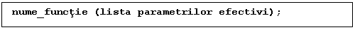 Text Box: nume_functie (lista parametrilor efectivi);