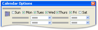 Calendar work week options