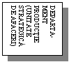 Text Box: DEPARTA-MENT PRODUCTIE (UNITATE STRATEGICA DE AFACERI)