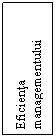 Text Box: Eficienta managementului

