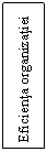 Text Box: Eficienta organizatiei