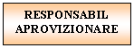 Text Box: RESPONSABIL
APROVIZIONARE
