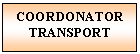 Text Box: COORDONATOR
TRANSPORT

