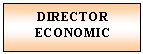 Text Box: DIRECTOR
ECONOMIC

