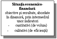 Text Box: Situatia economico-
financiara: 
obiective si rezultate, abordate in dinamica, prin intermediul unor indicatori
-	cantitativi (de volum)
-	calitativi (de eficienta)
