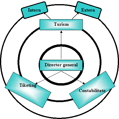 Flowchart: Alternate Process: Intern,Flowchart: Alternate Process: Extern,Text Box: Tiketing

,Text Box: Contabilitate 

