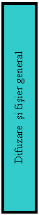 Text Box: Difuzare  si fisier general