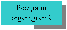 Text Box: Pozitia in organigrama