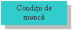 Text Box: Conditii de munca

