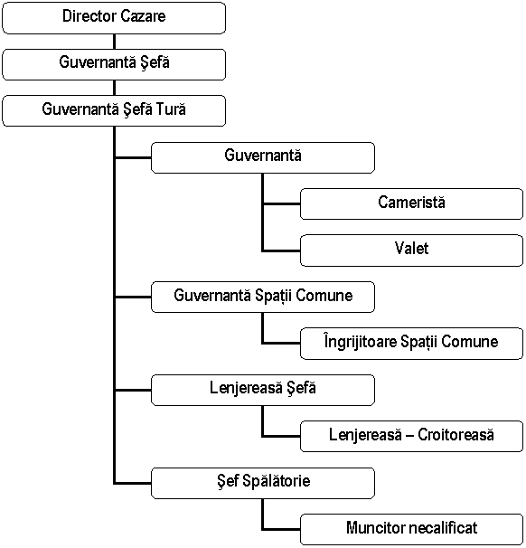 Organization Chart