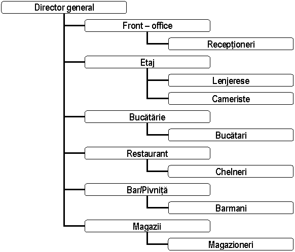 Organization Chart